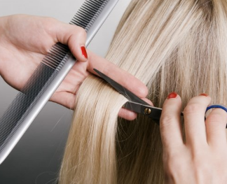 Corte Dama