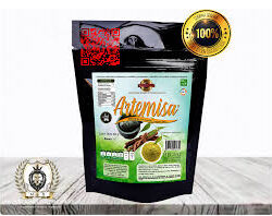 Artemisa